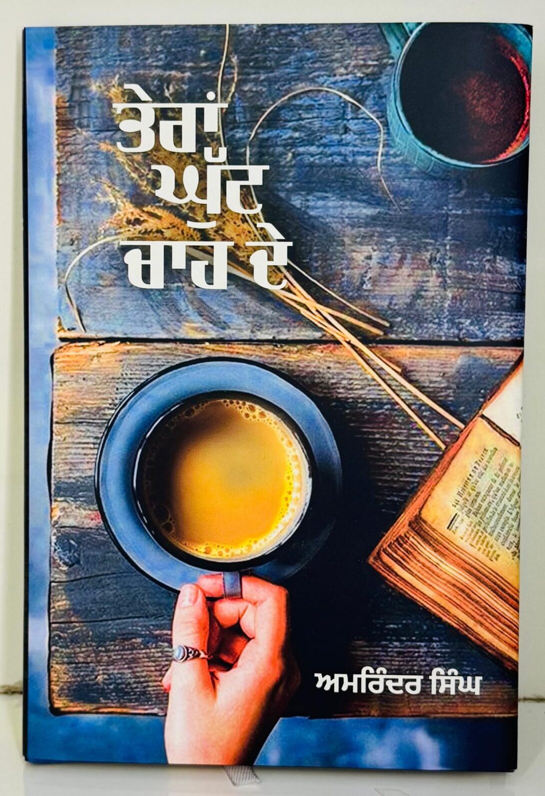 ਤੇਰਾਂ ਘੁੱਟ ਚਾਹ ਦੇ / Tera Ghut Chah De